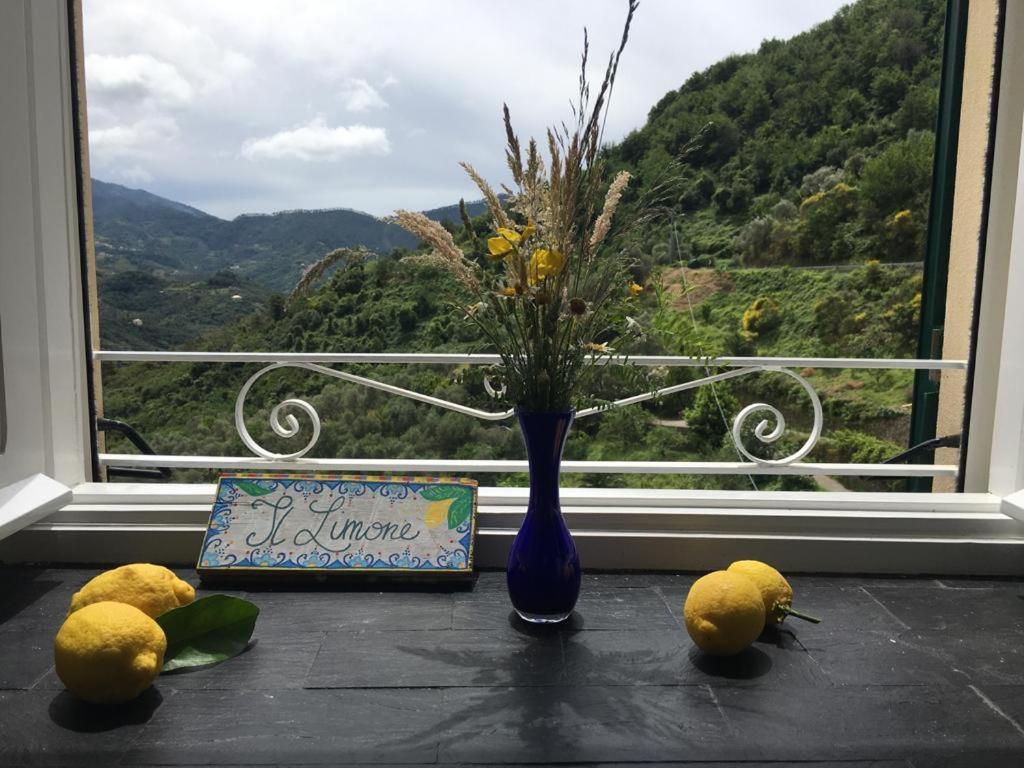 Appartamento Il Limone Levanto Zewnętrze zdjęcie